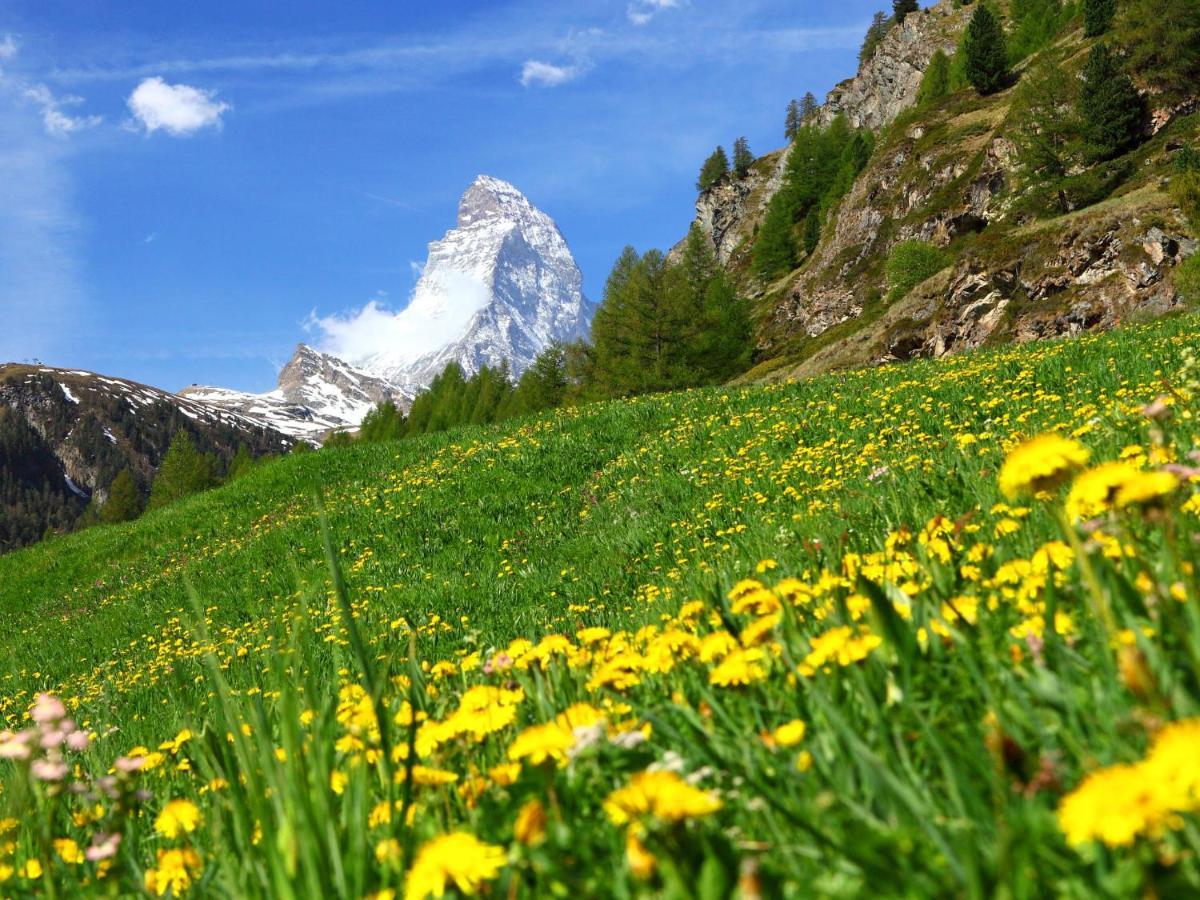 Apartment La Prairie By Interhome Zermatt Kültér fotó